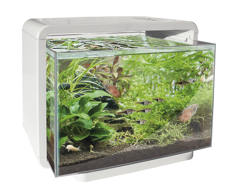 SuperFish aquarium Home 15 wit Animal World